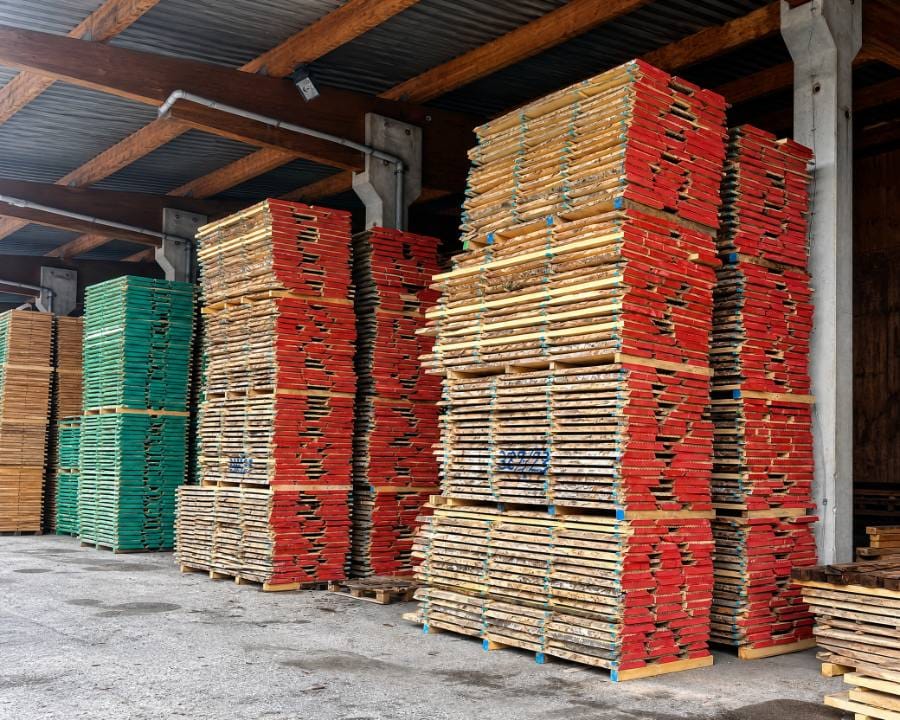 Mercati 2026: dove cresce la domanda di rovere